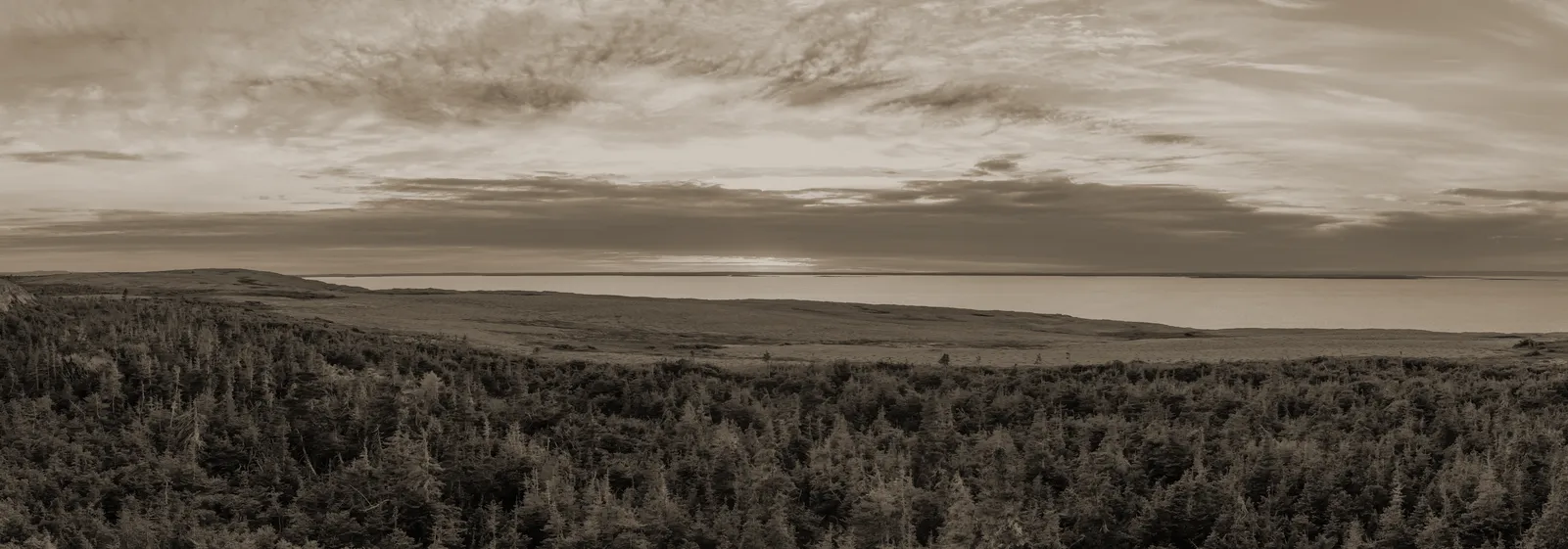 Scenic Canadian Landscape View on the Atlantic Ocean